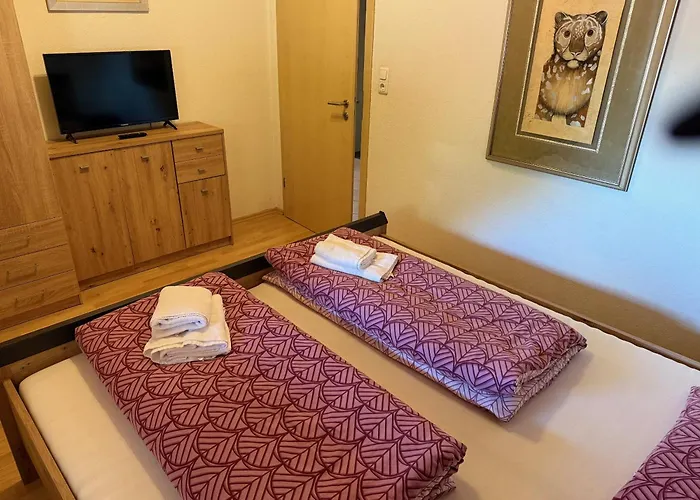 بيت ريفي Rafting Alm